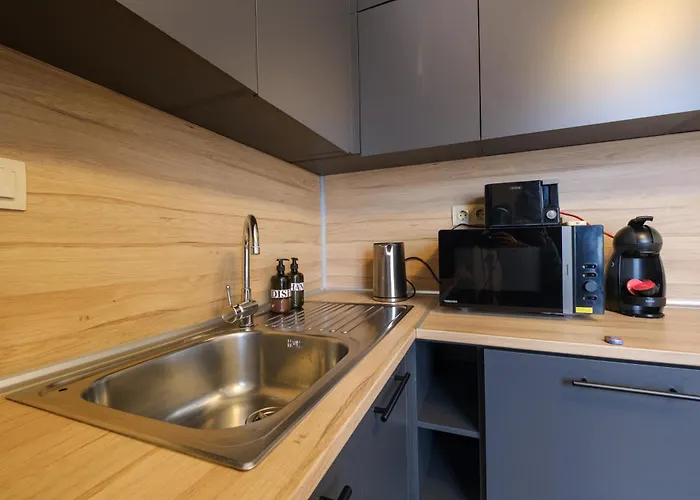 公寓 Bright 1-bedroom In The Heart Of The *